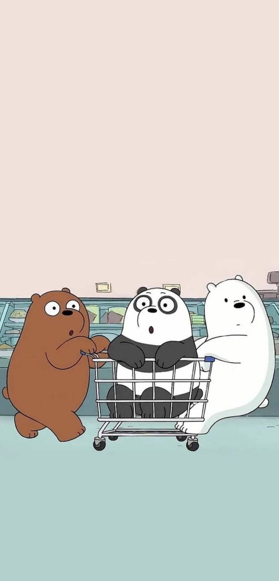 We Bare Bears Aesthetic Grocery Cart Background