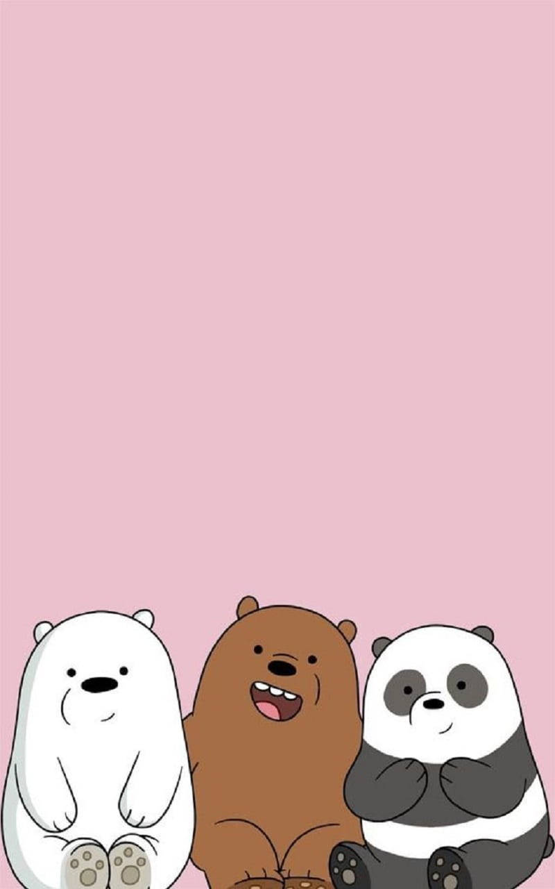 We Bare Bears Aesthetic Pastel Pink Background