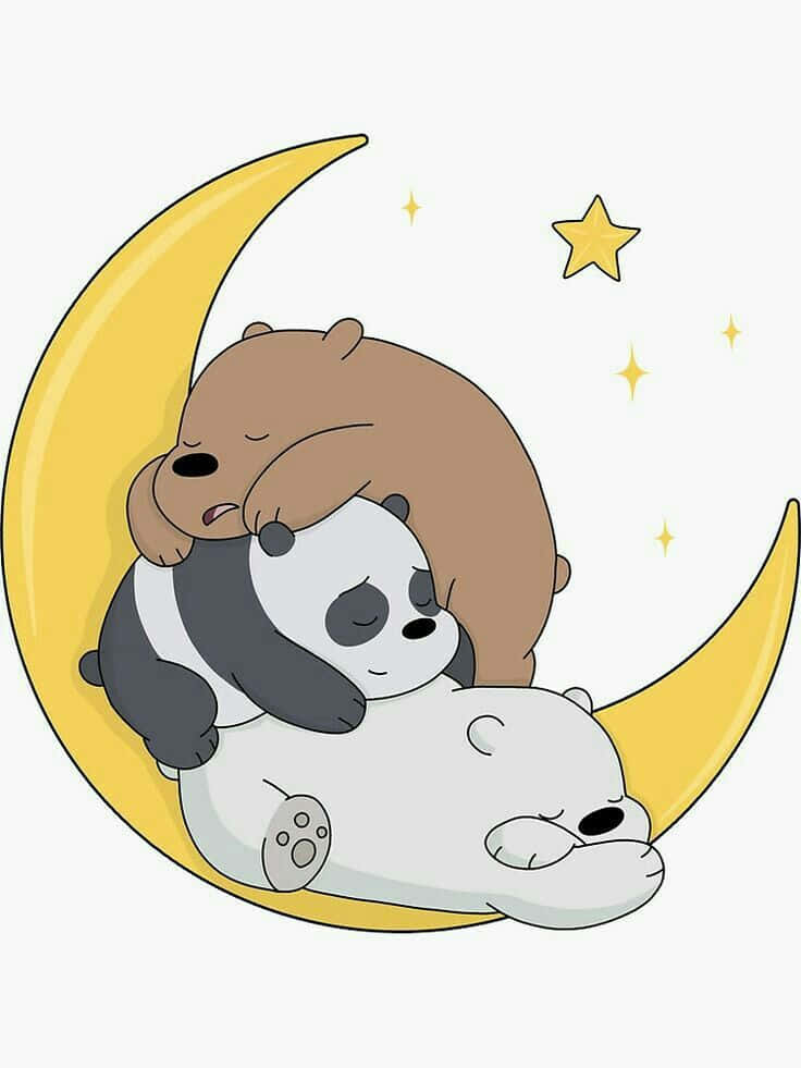 We Bare Bears Moon Nap Wallpaper