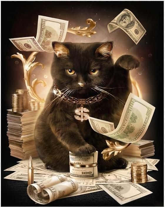 Wealthy Boss Cat Wallpaper