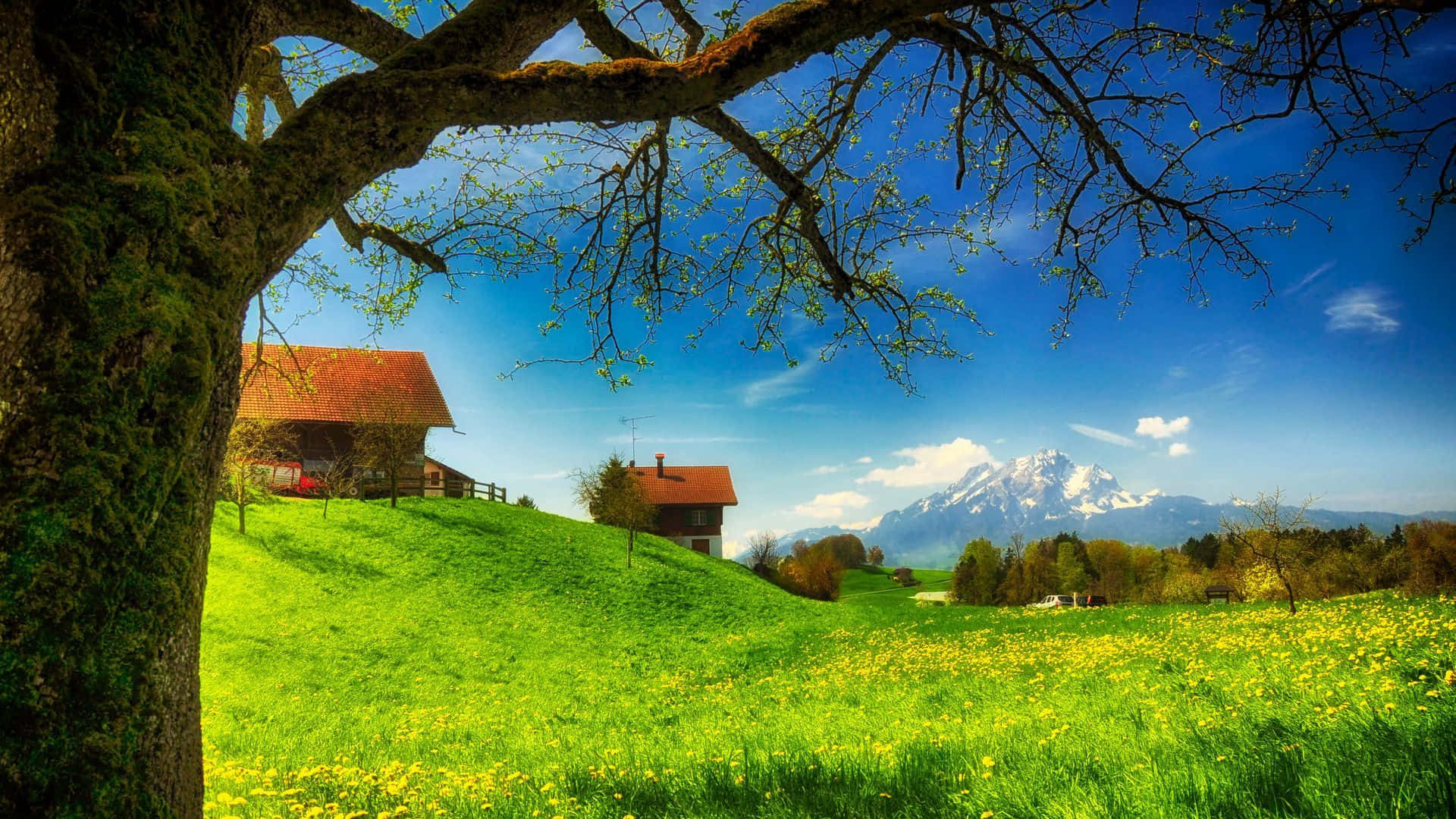 Enjoy a beautiful cloudy day in the countryside