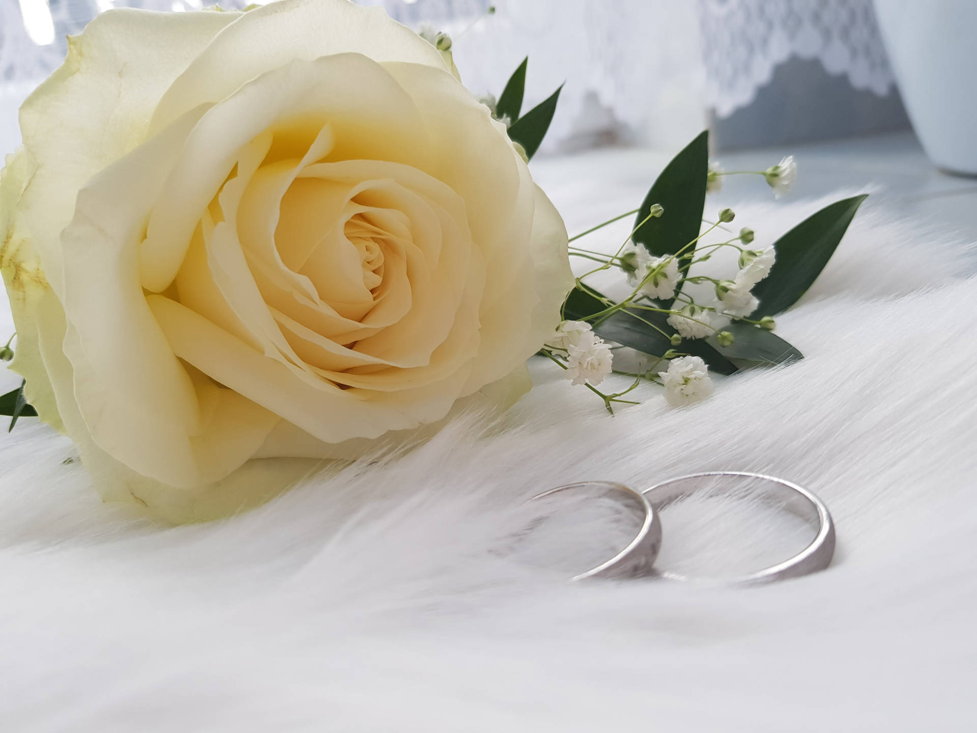 Wedding Aesthetic Rose