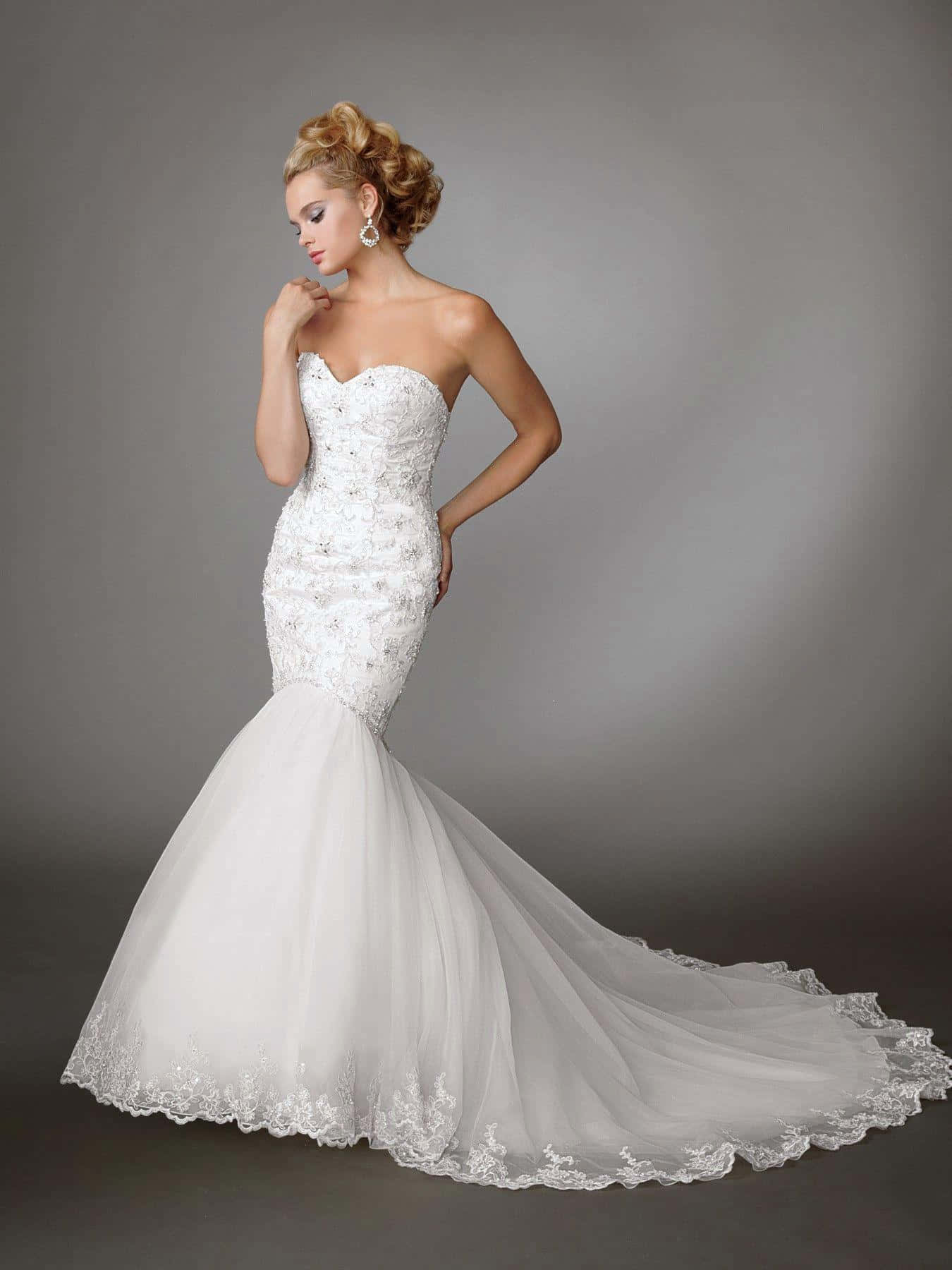 Elegant Bride Wearing Gorgeous Wedding Gown