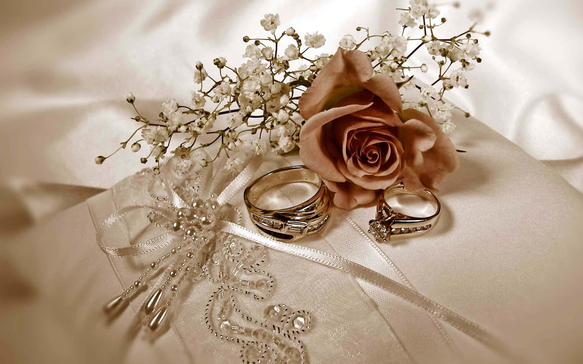 Wedding Ring And Rose Flower Wallpaper
