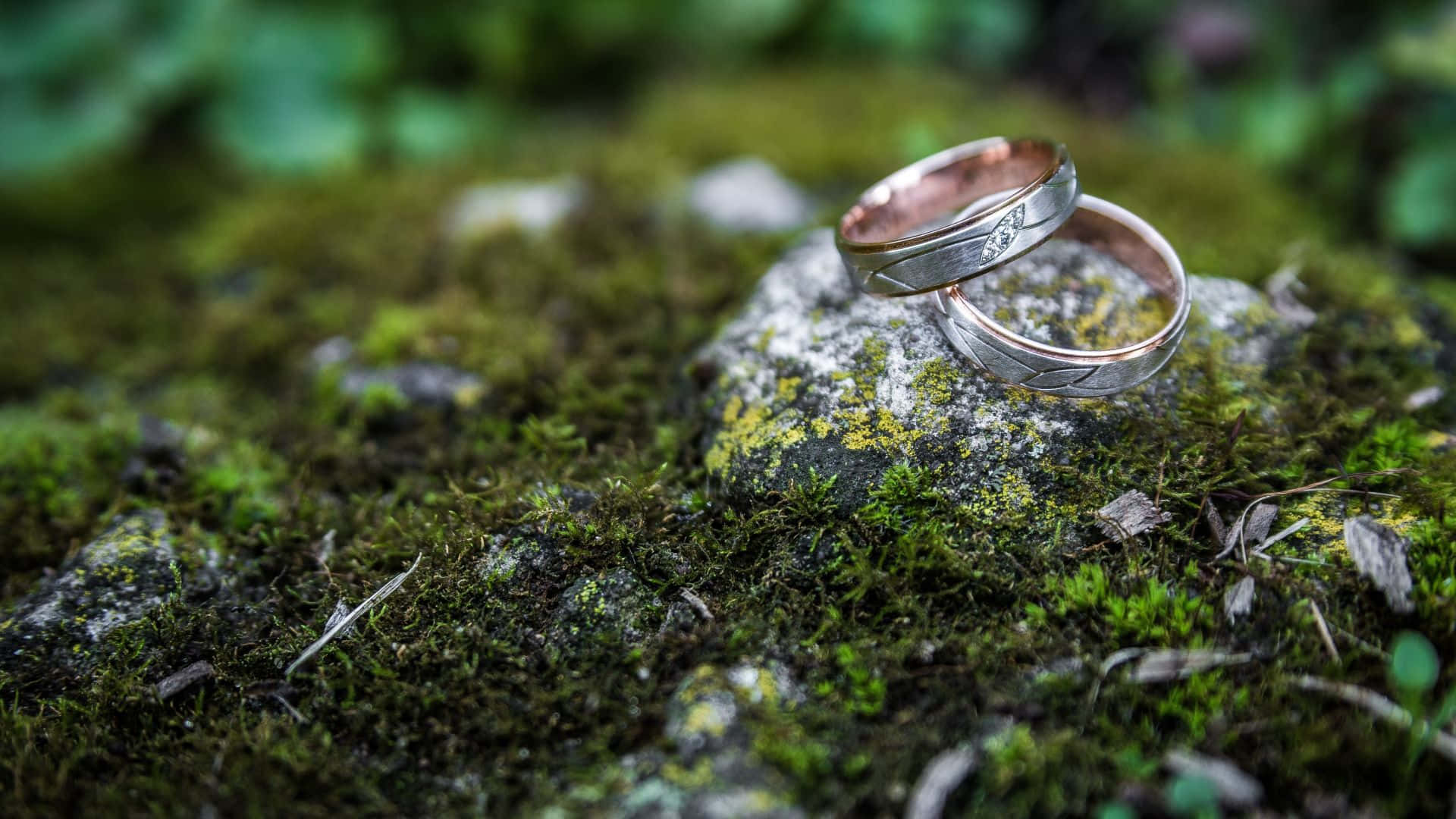 Wedding Ring On Mossy Rock Wallpaper