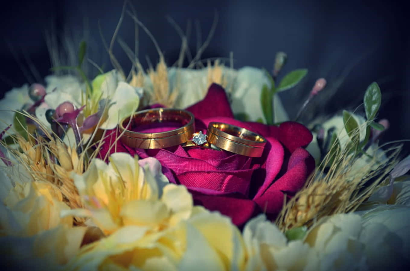 Premium Photo | A Pair of Wedding Rings Photo AI Generated