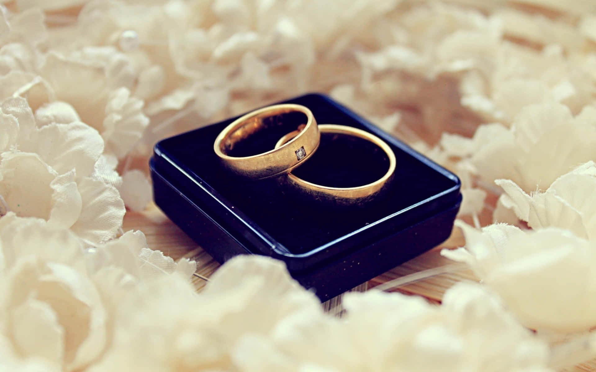 Elegance Unveiled - A pair of beautiful wedding rings