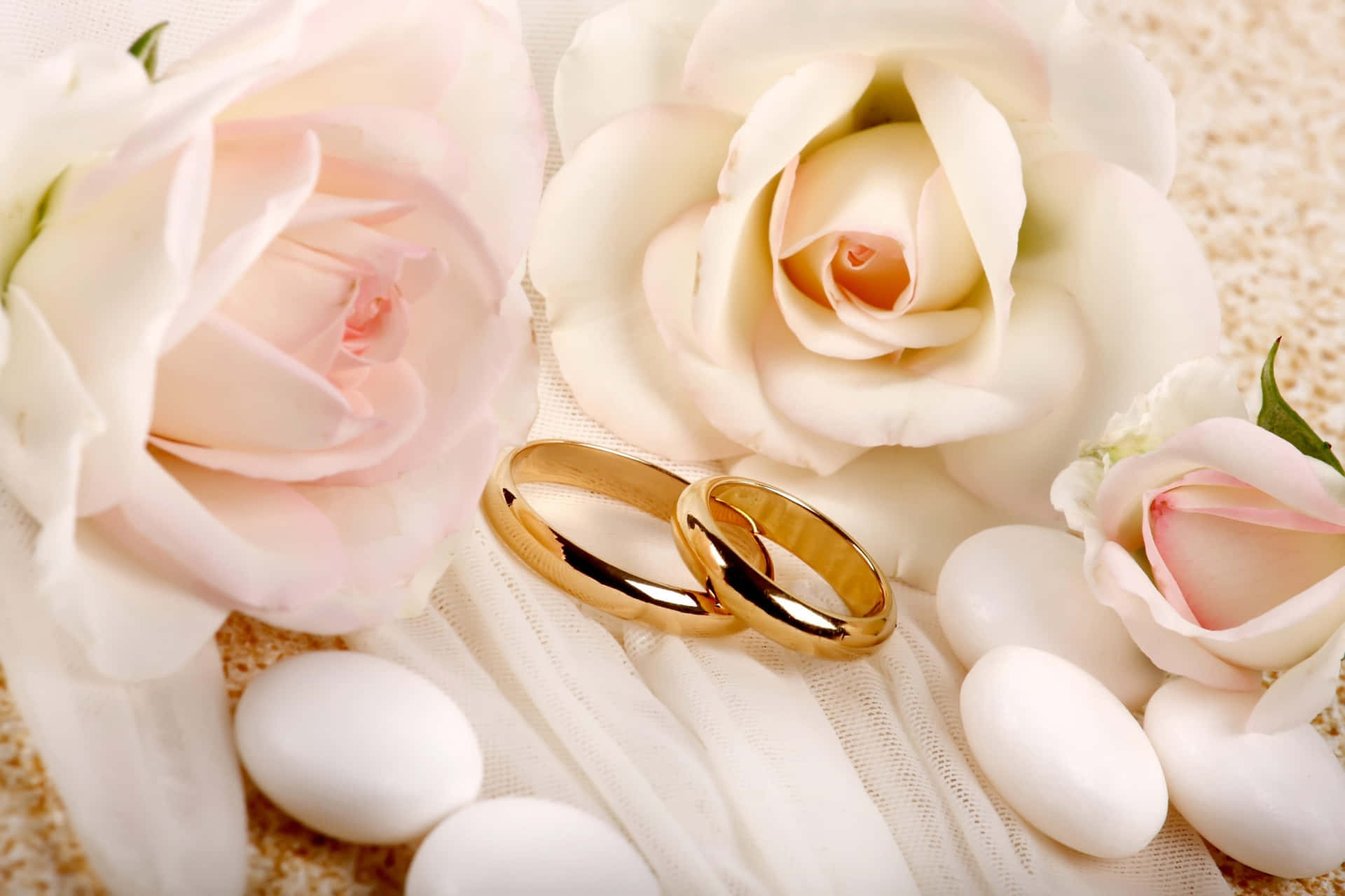 Roses And Wedding Rings Picture