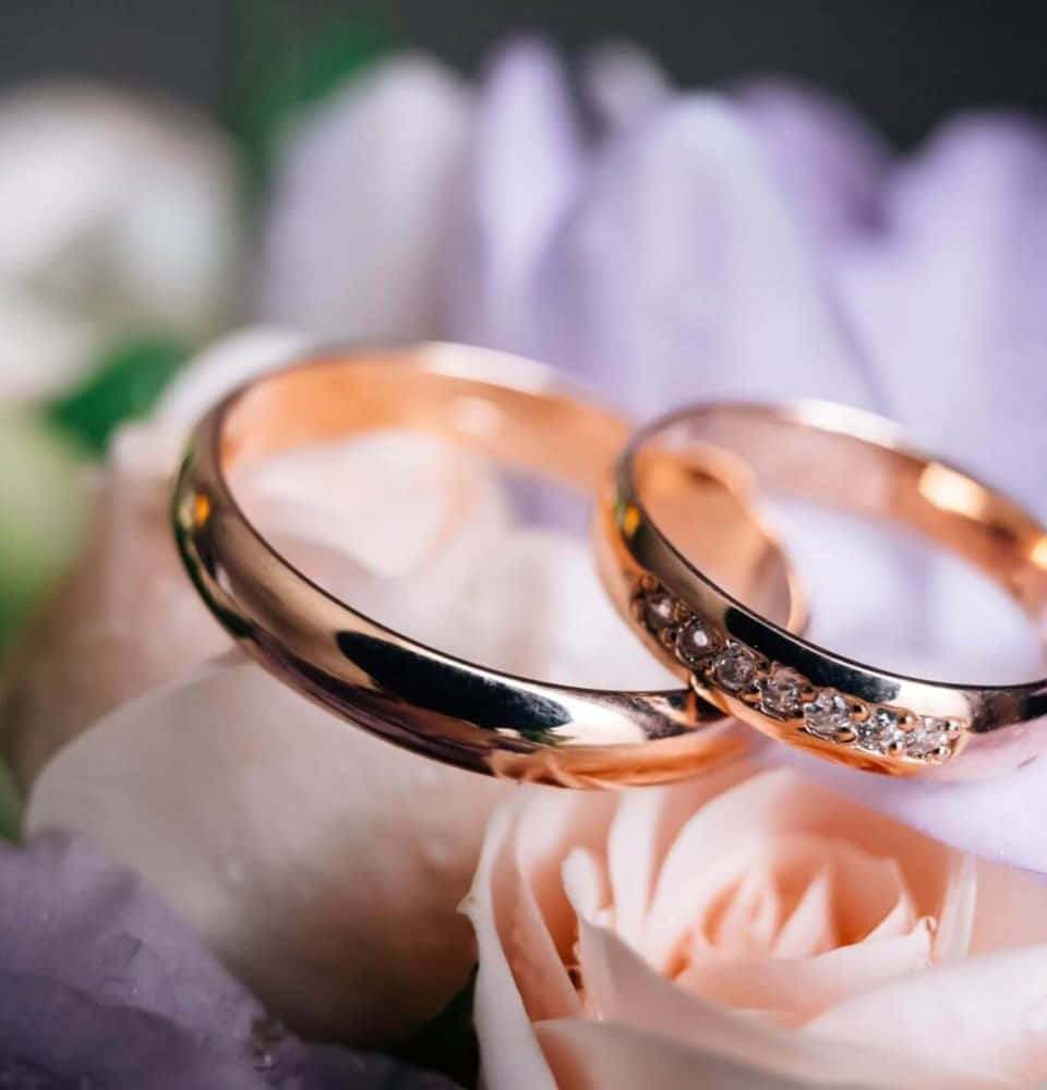 Rose Gold Wedding Rings Picture