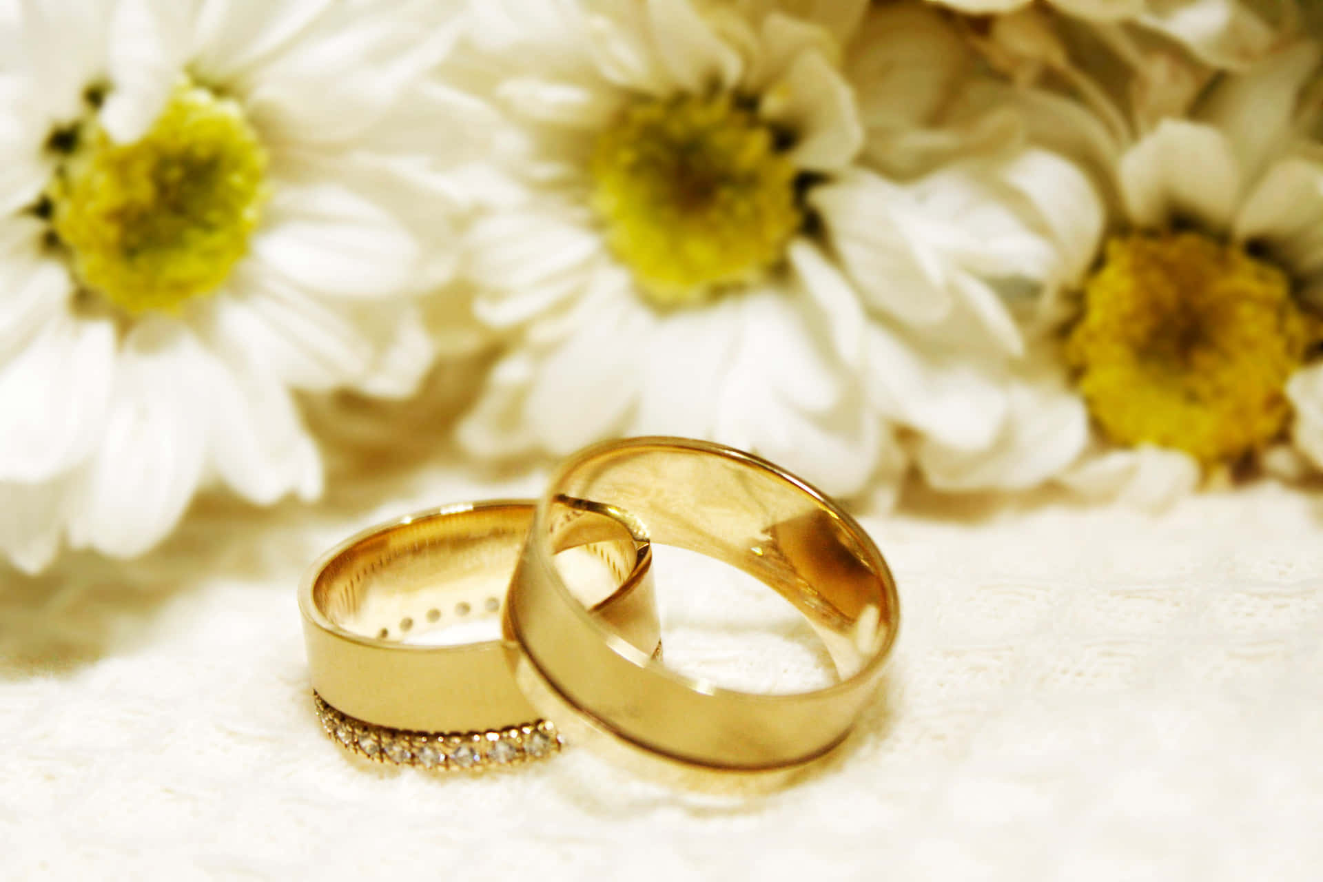 Daisy Flowers Wedding Rings Pictures