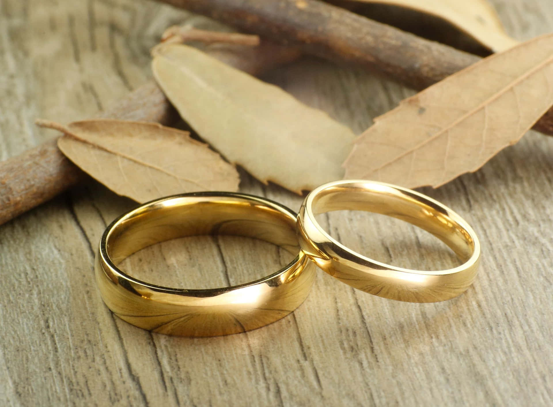 Autumn Wedding Rings Picture