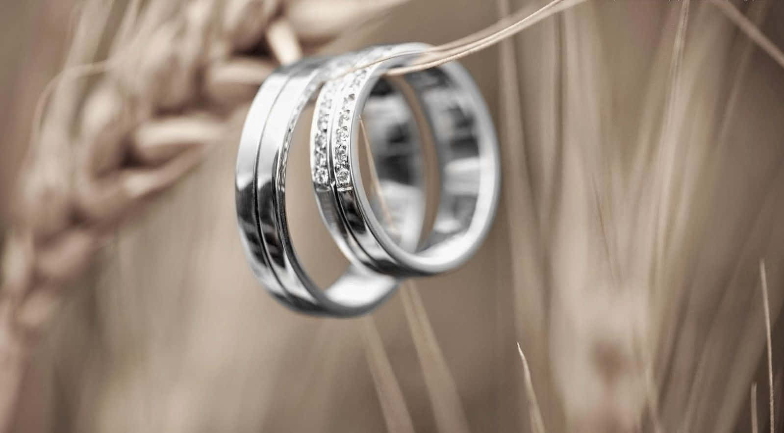 Tie the Knot with the Perfect Wedding Rings