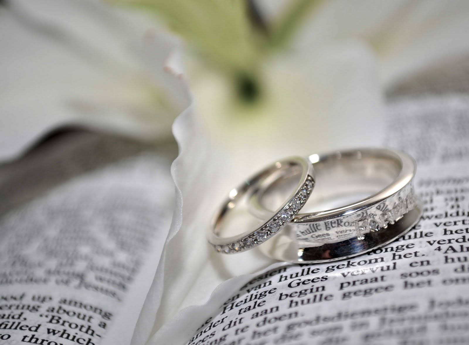 Wedding Rings And Book