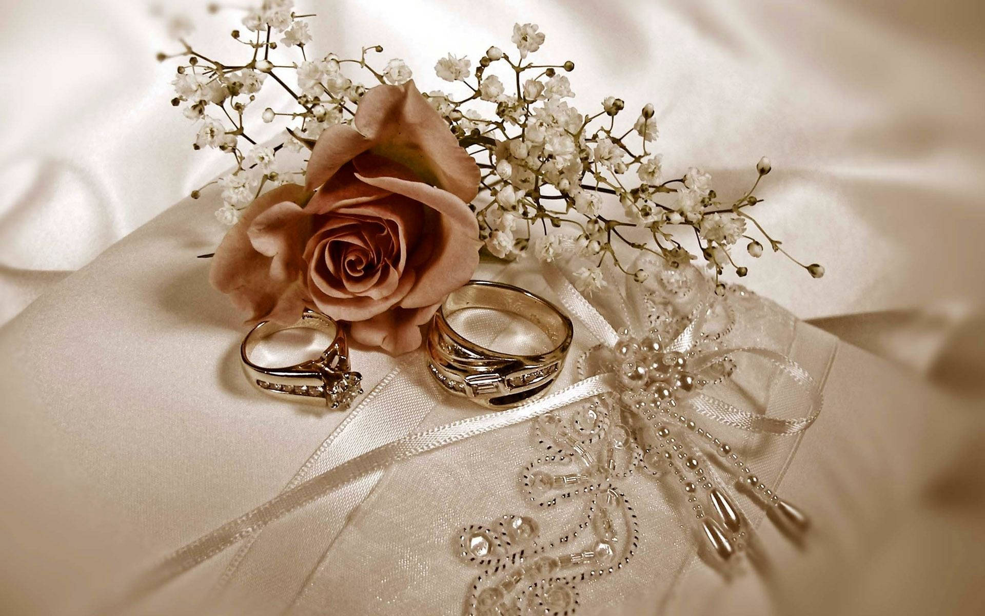 Wedding Rings And Flower