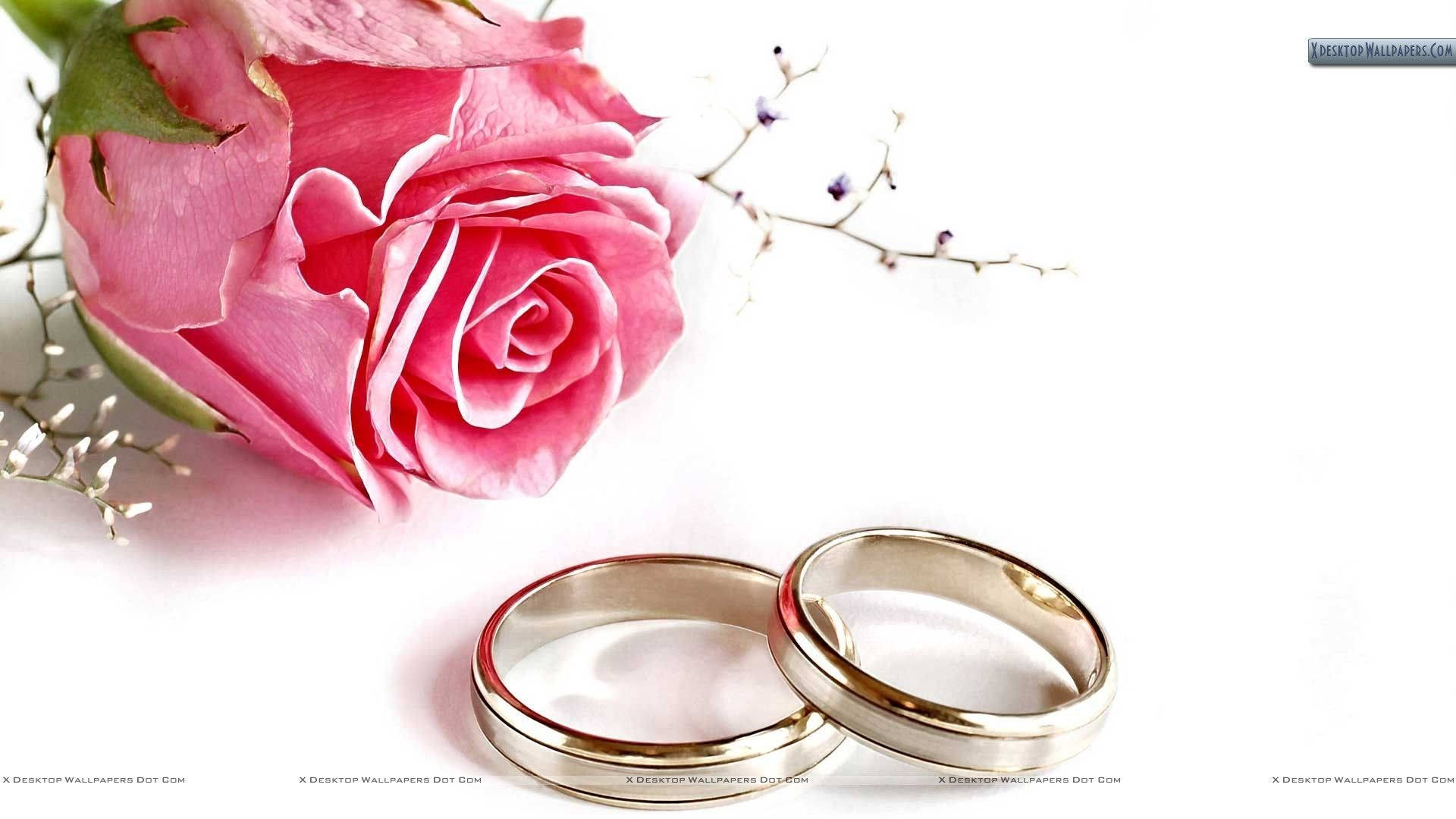 Wedding Rings And Pink Flowers