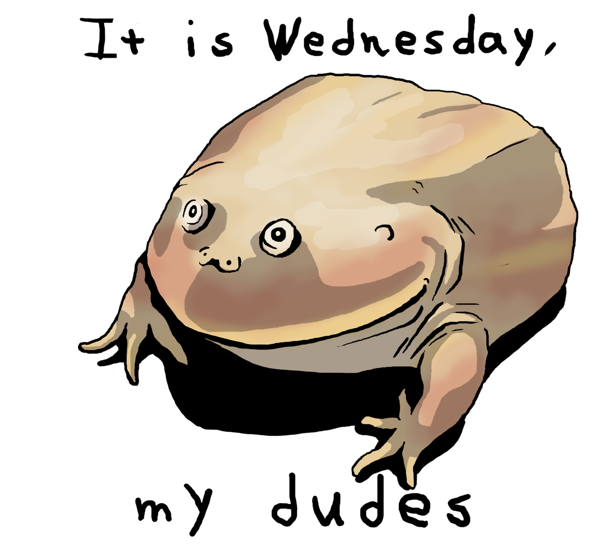 Wednesday Frog Meme PNG
