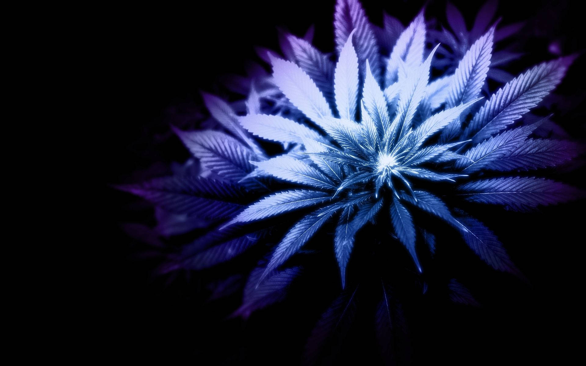 Macbook4k Morado Y Azul Estética De Marihuana Fondo de pantalla