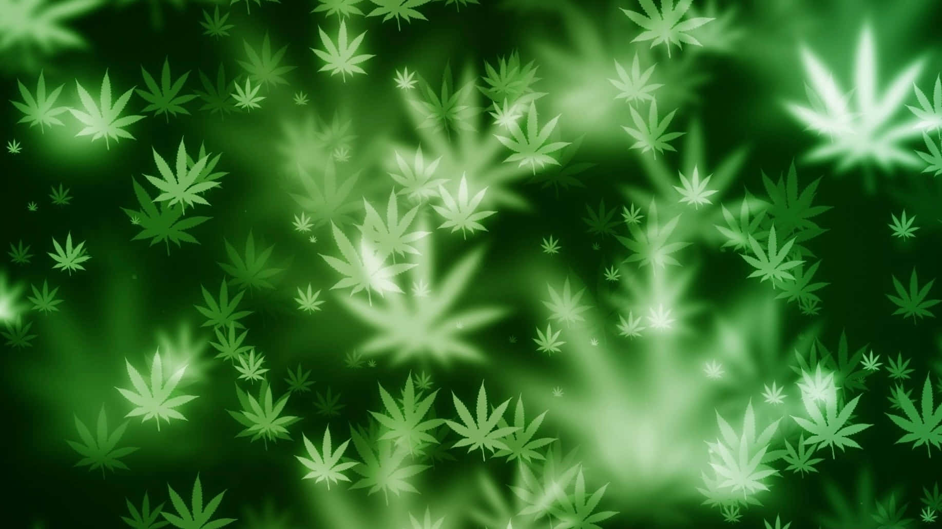 Atfylde Skærmen Med Sødt-duftende Cannabisblus.