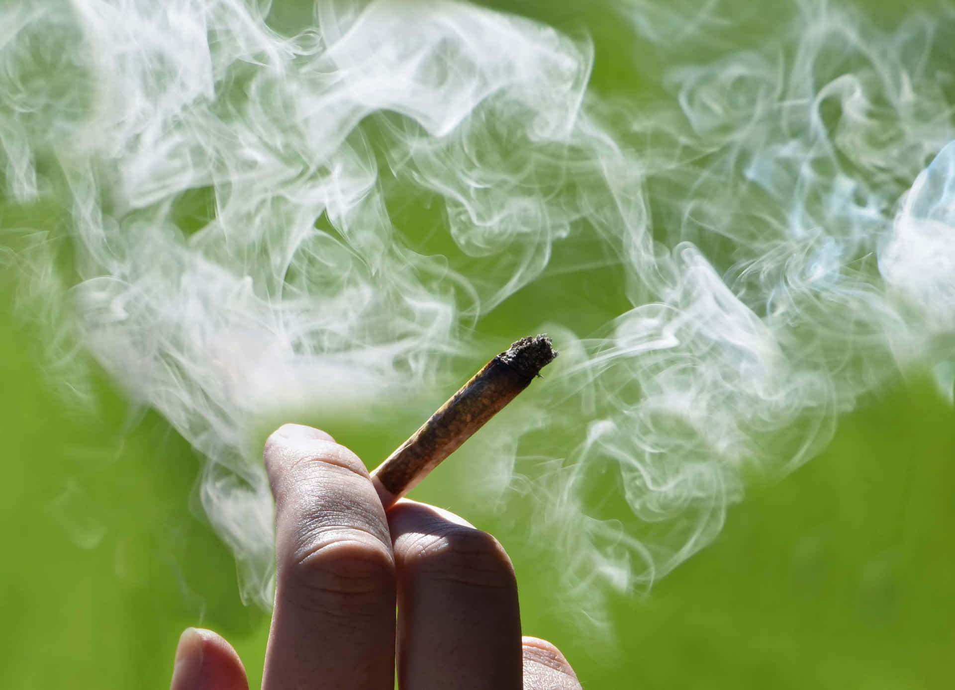 Verdevida: Fumando Un Porro De Marihuana Recién Enrollado. Fondo de pantalla