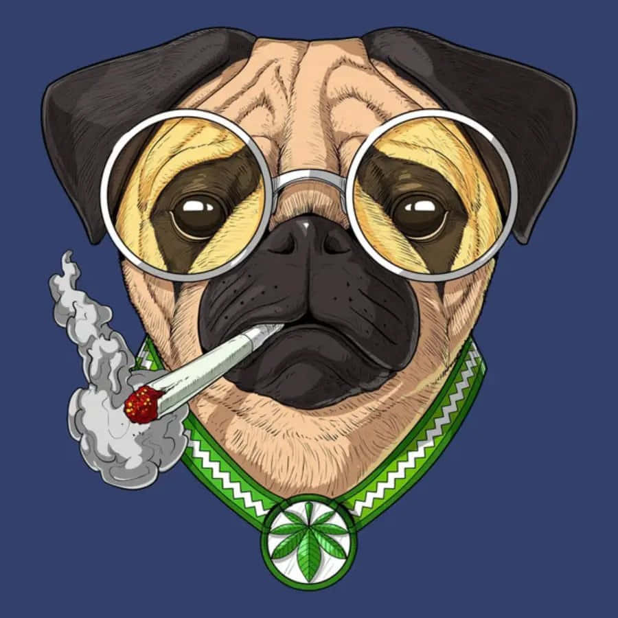 Enmops Hund Med Glasögon Och En Cigarett.