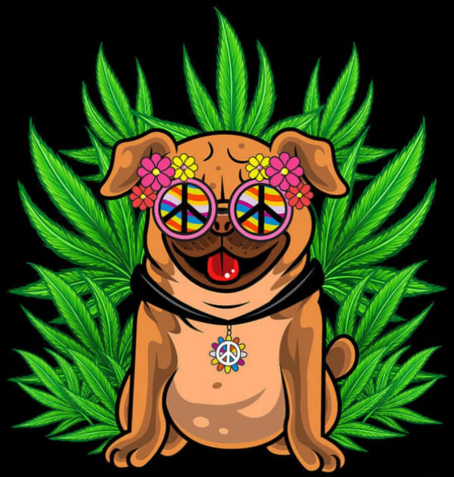 A Pug Wearing Glasses And A Flower On His Head
