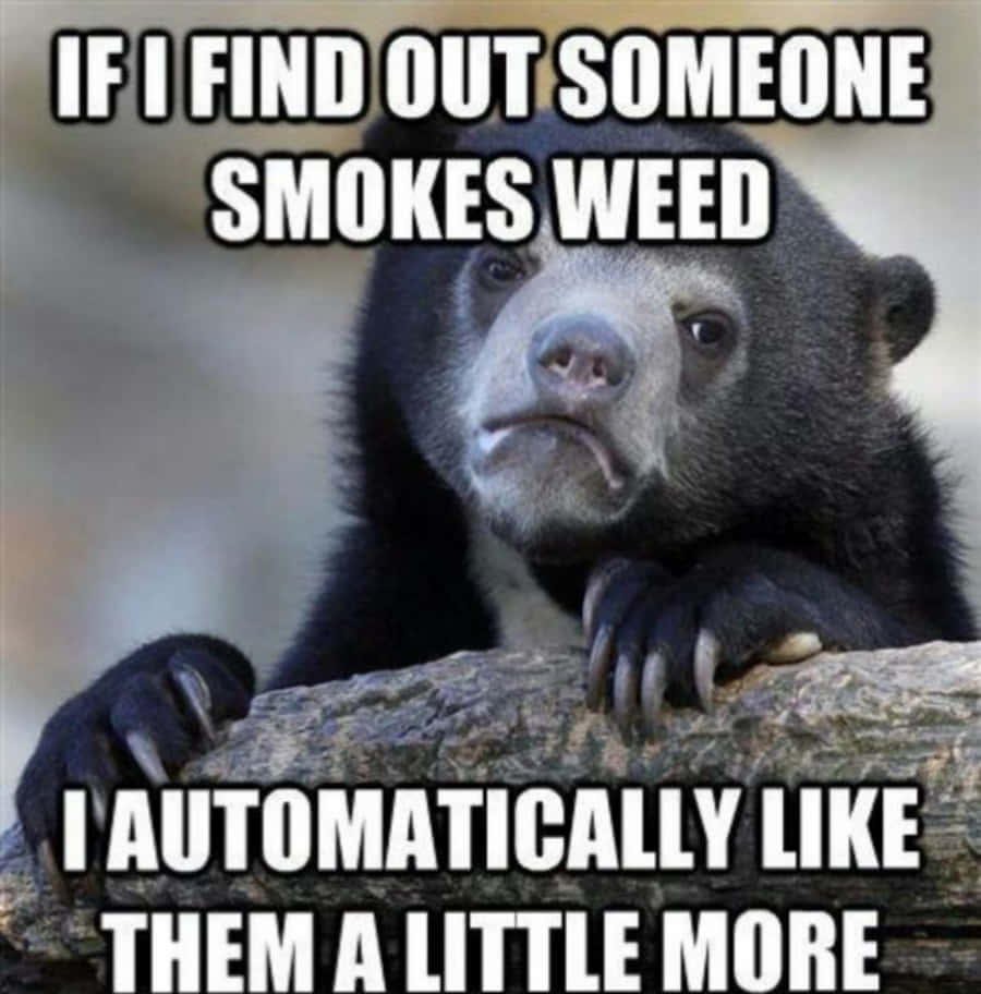 A Bear That Says If Someone Smokes Weed I Automatically Like Them A Little More