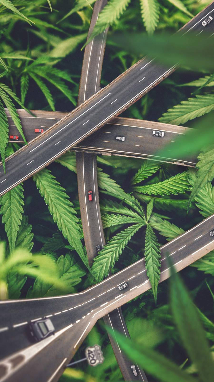 Weed Highway For Iphone Wallpaper