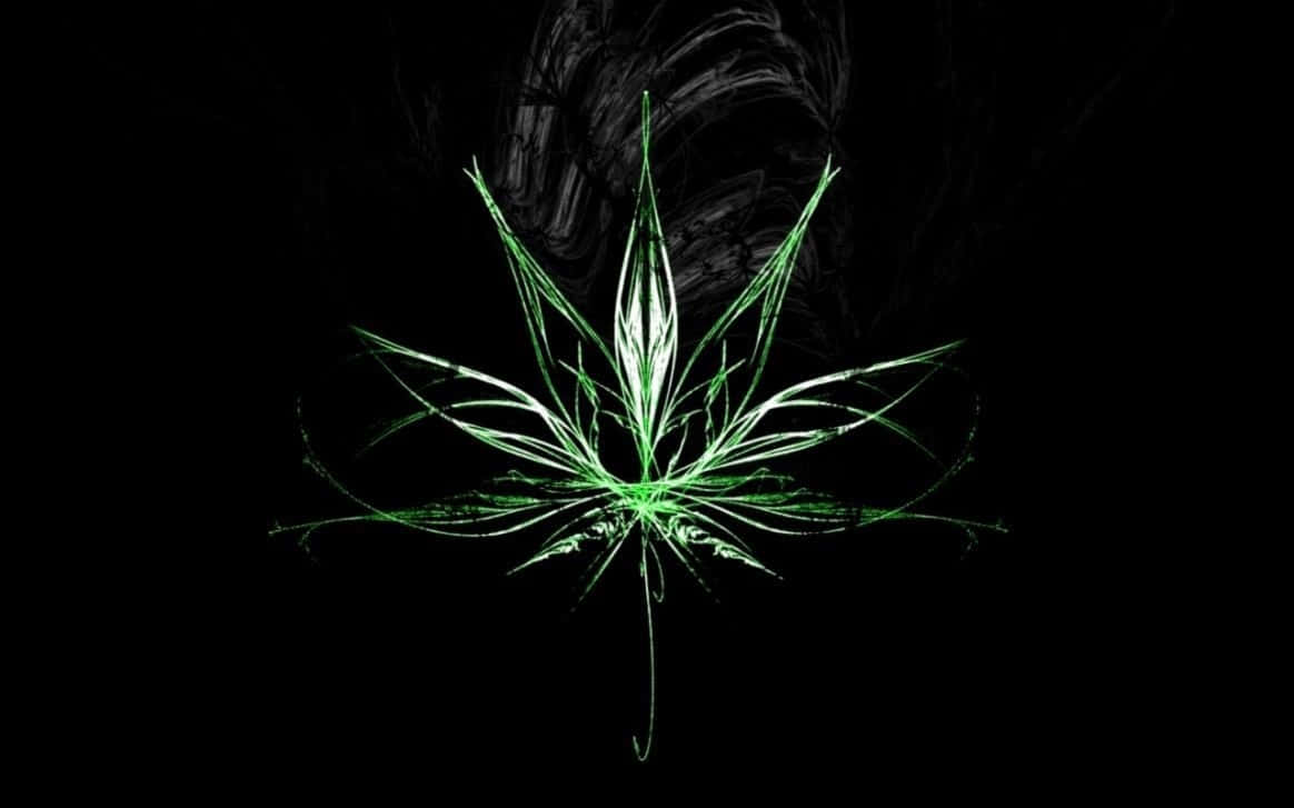 Vibrant Weed Leaf Wallpaper