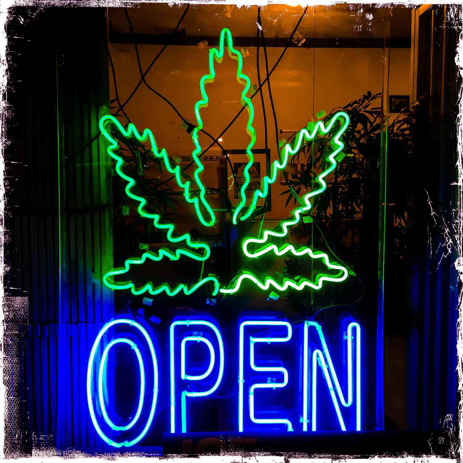 Weed Neon Sign Picture