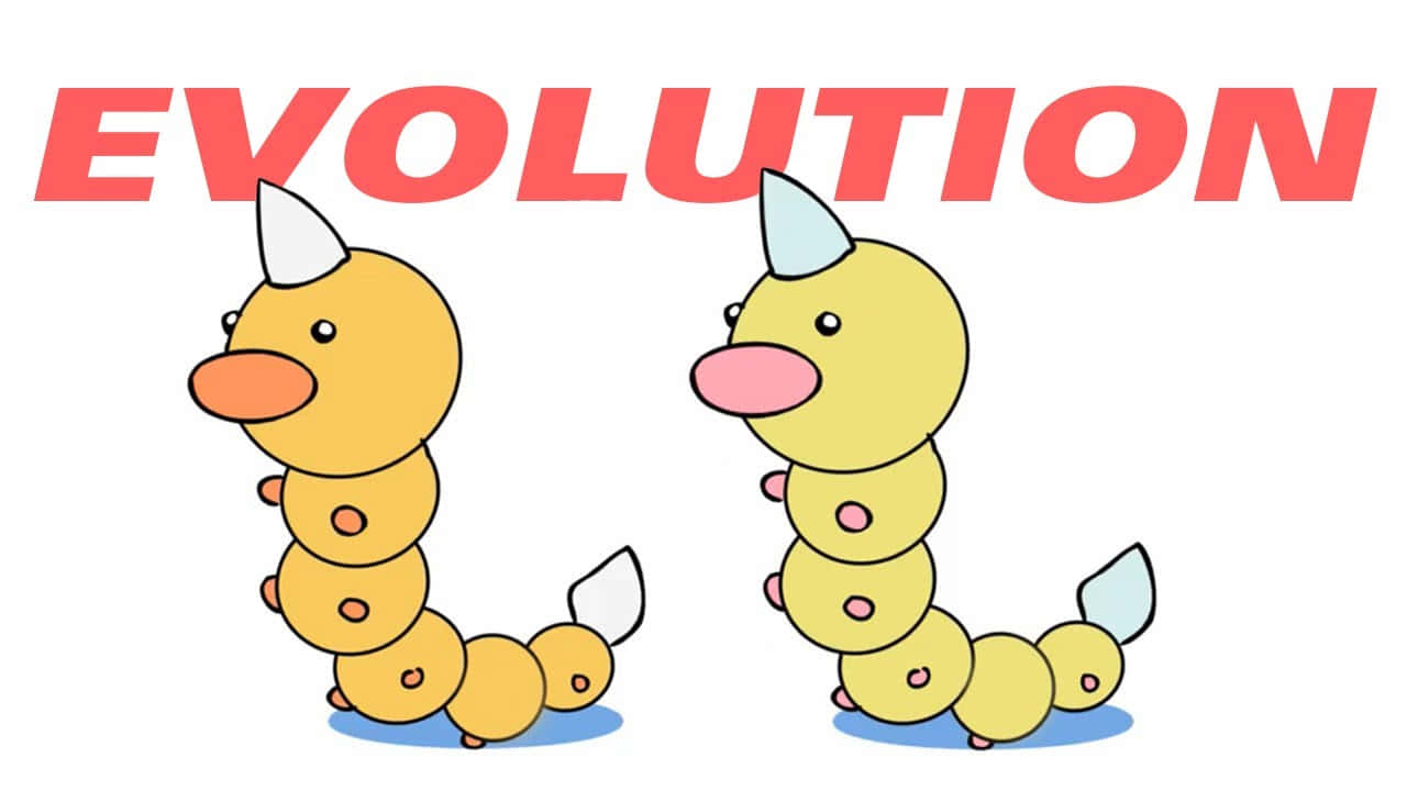 Weedle Evolution Graphic Wallpaper