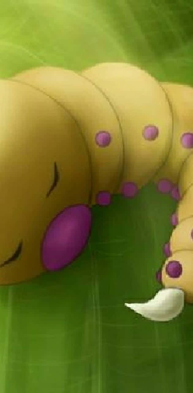 Weedle, The Bug/poison Type Pokémon In Its Natural Habitat Wallpaper