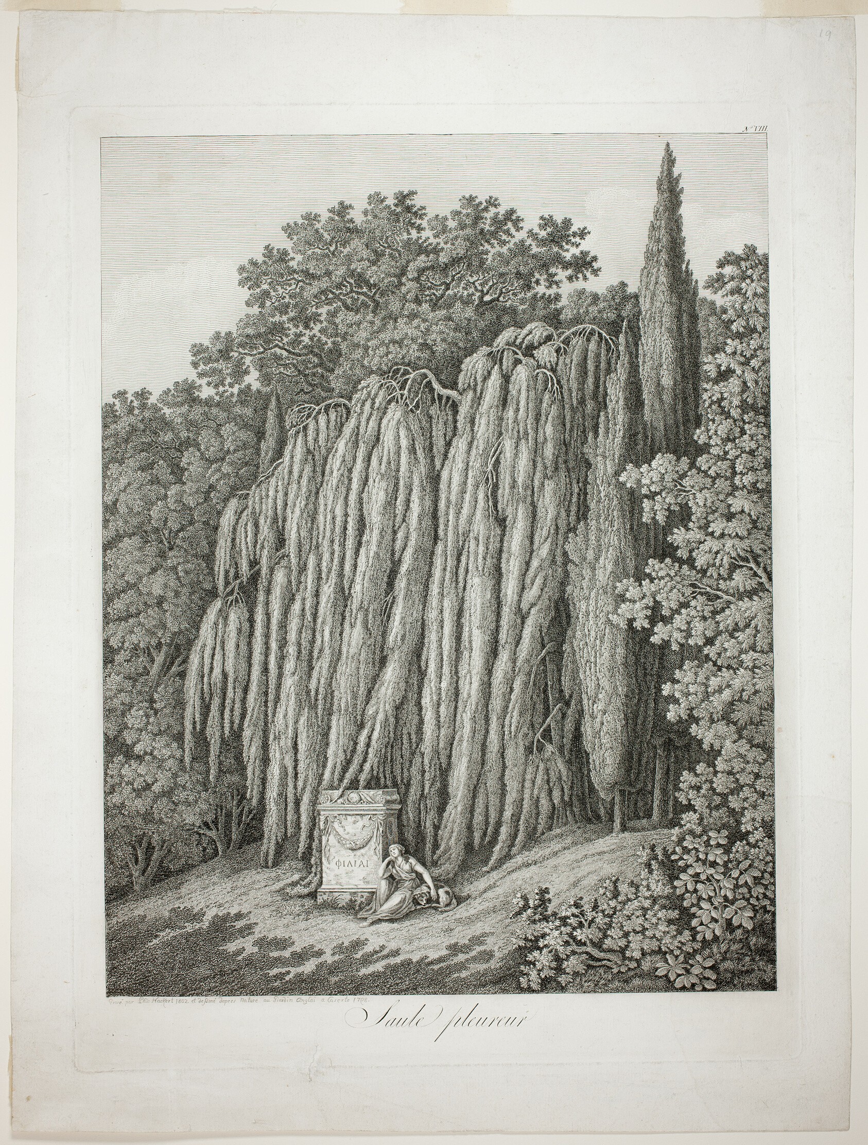 Weeping Willow Wallpaper