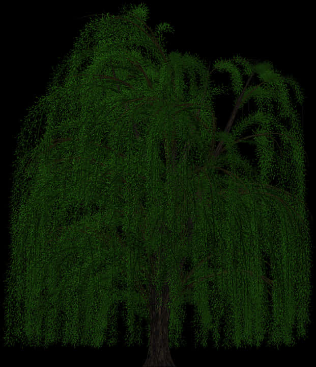 Weeping Willowat Night PNG