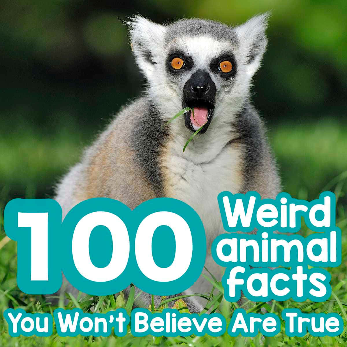 100 Weird Animal Facts You Won't Believe Are True