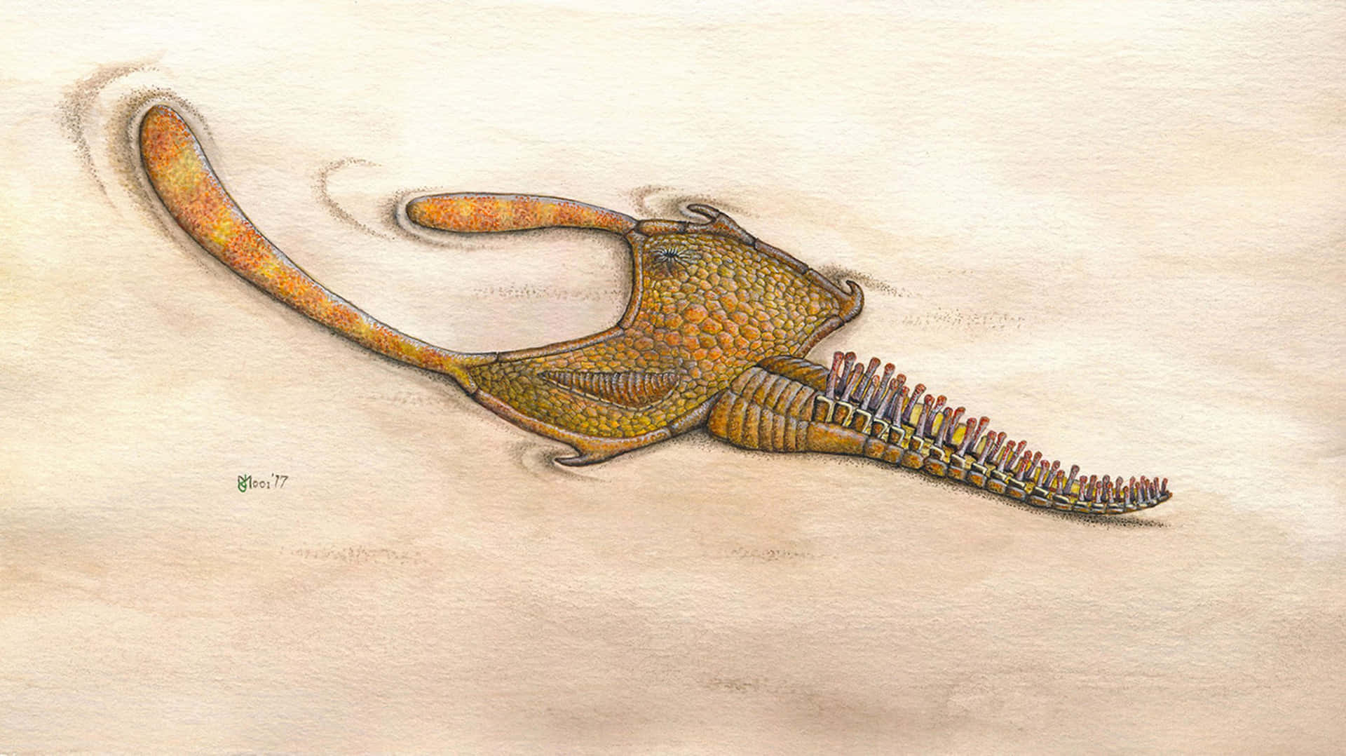 A Drawing Of A Fish With A Long Tail