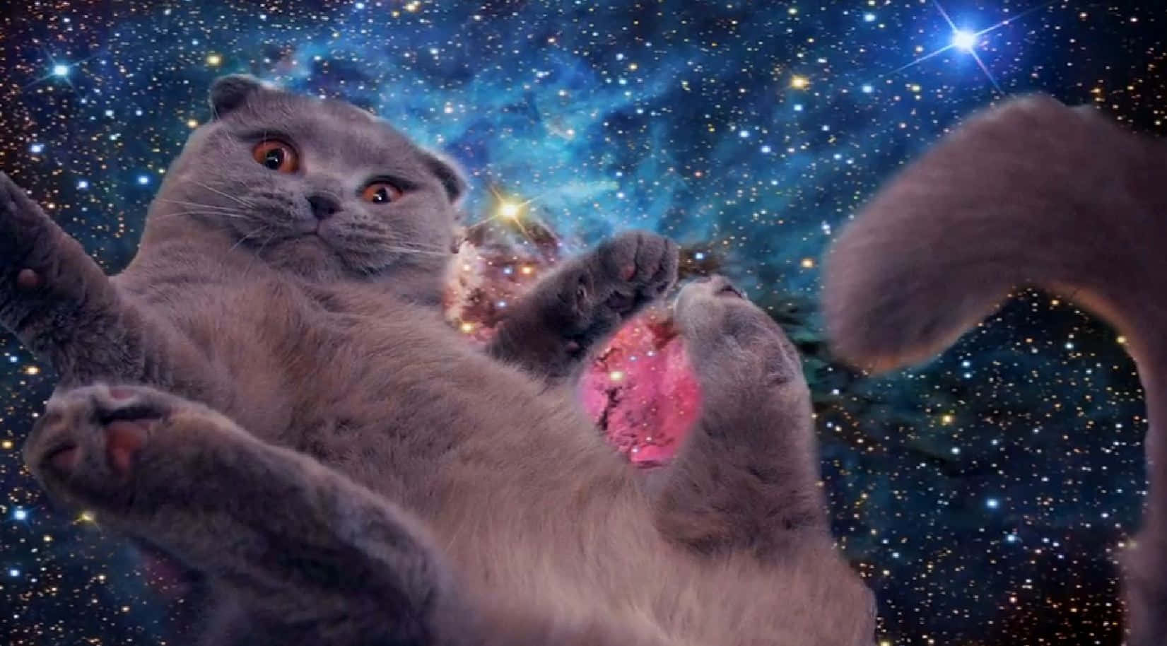 Grauesseltsames Katzenbild Im Weltraum Fliegend