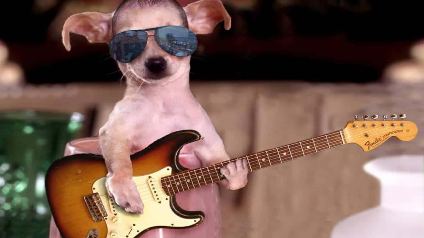A Dog Wearing Sunglasses Is Playing An Electric Guitar