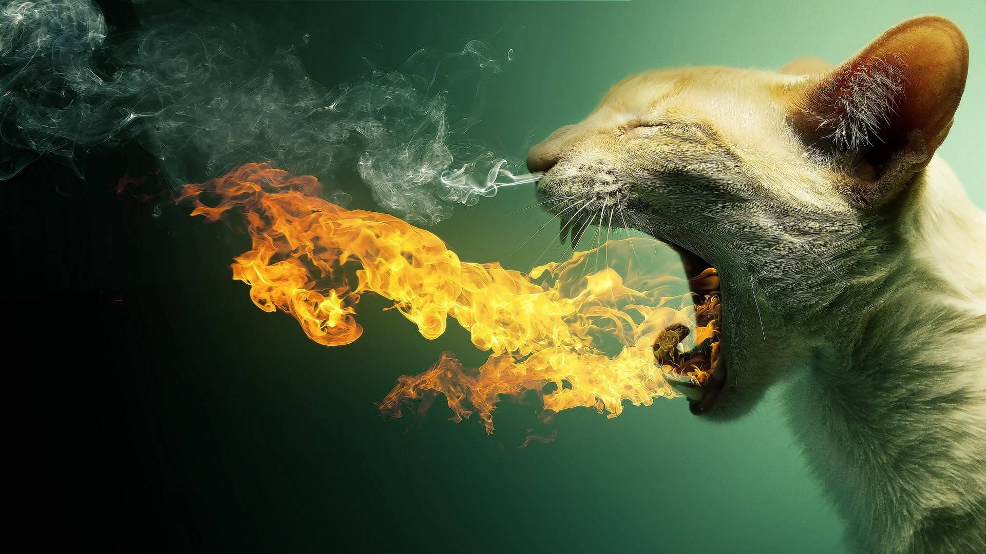 Surreal Fire Cat in a Mystical Realm Wallpaper