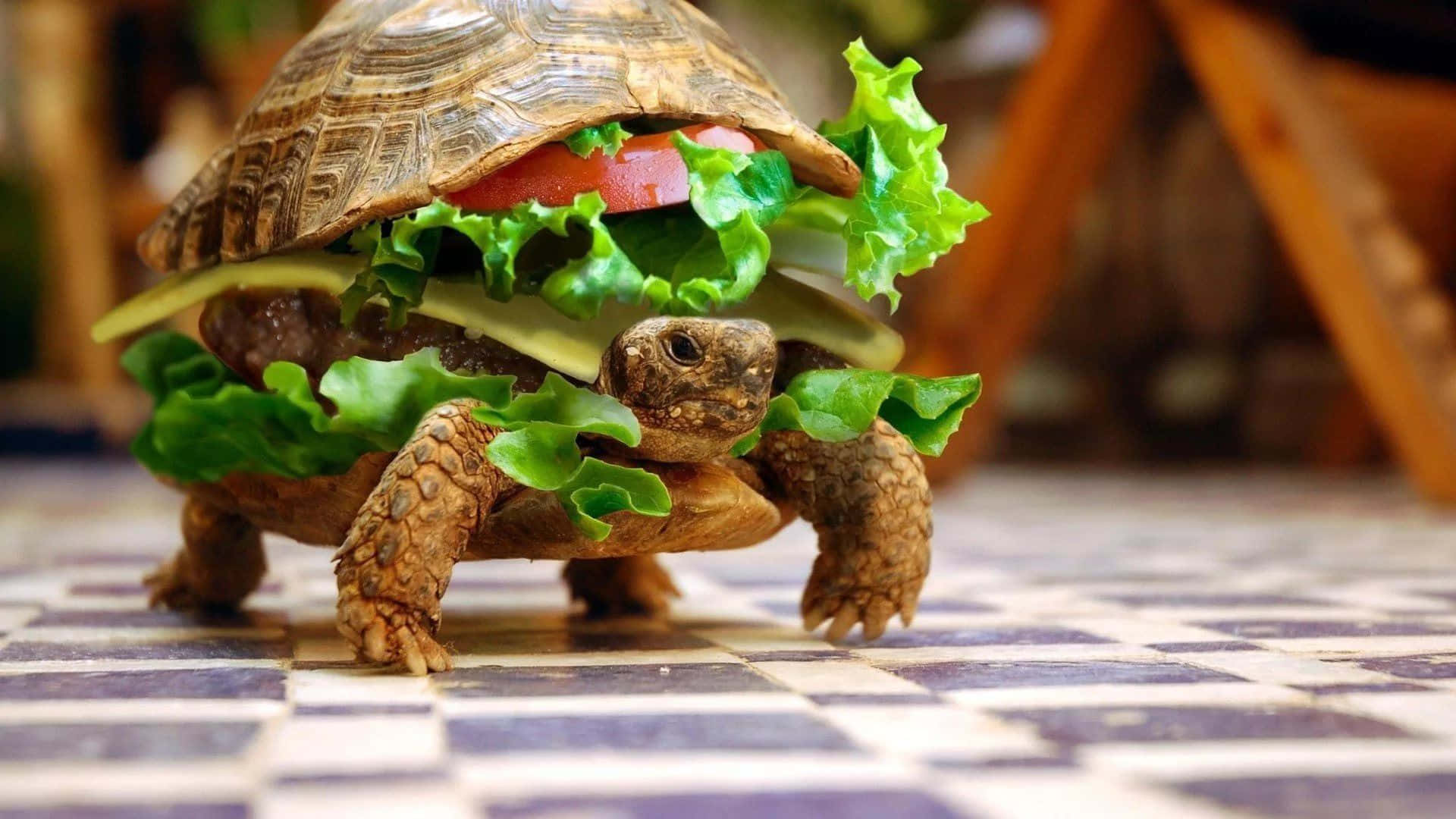Fotodi Una Combinazione Strana Di Hamburger Di Tartaruga