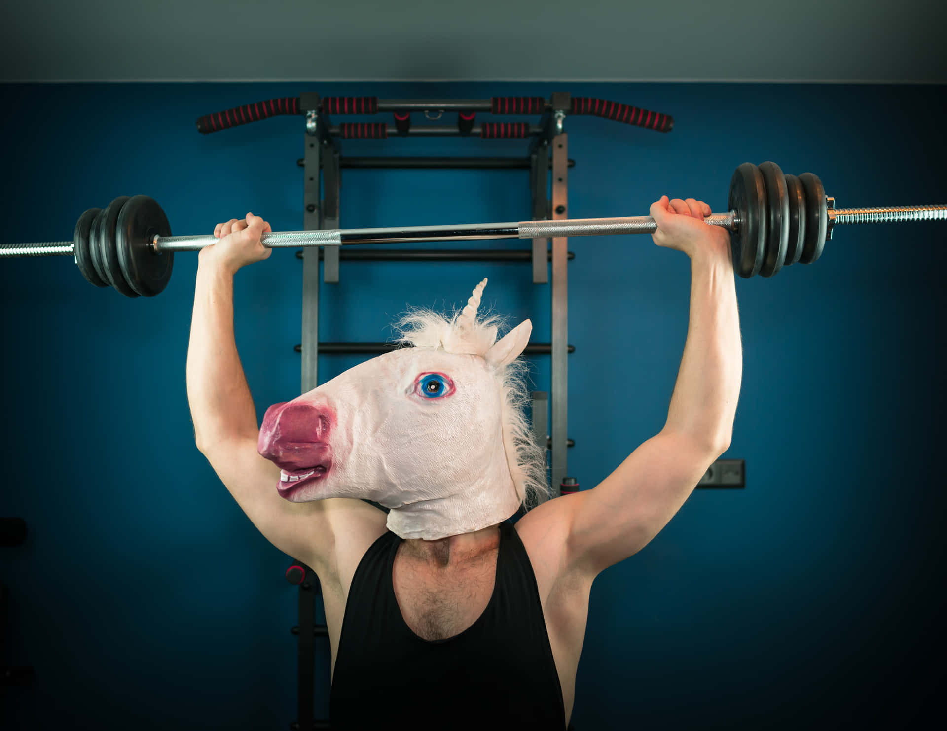 Weird Man In Horse Mask Lifting Weights Picture
