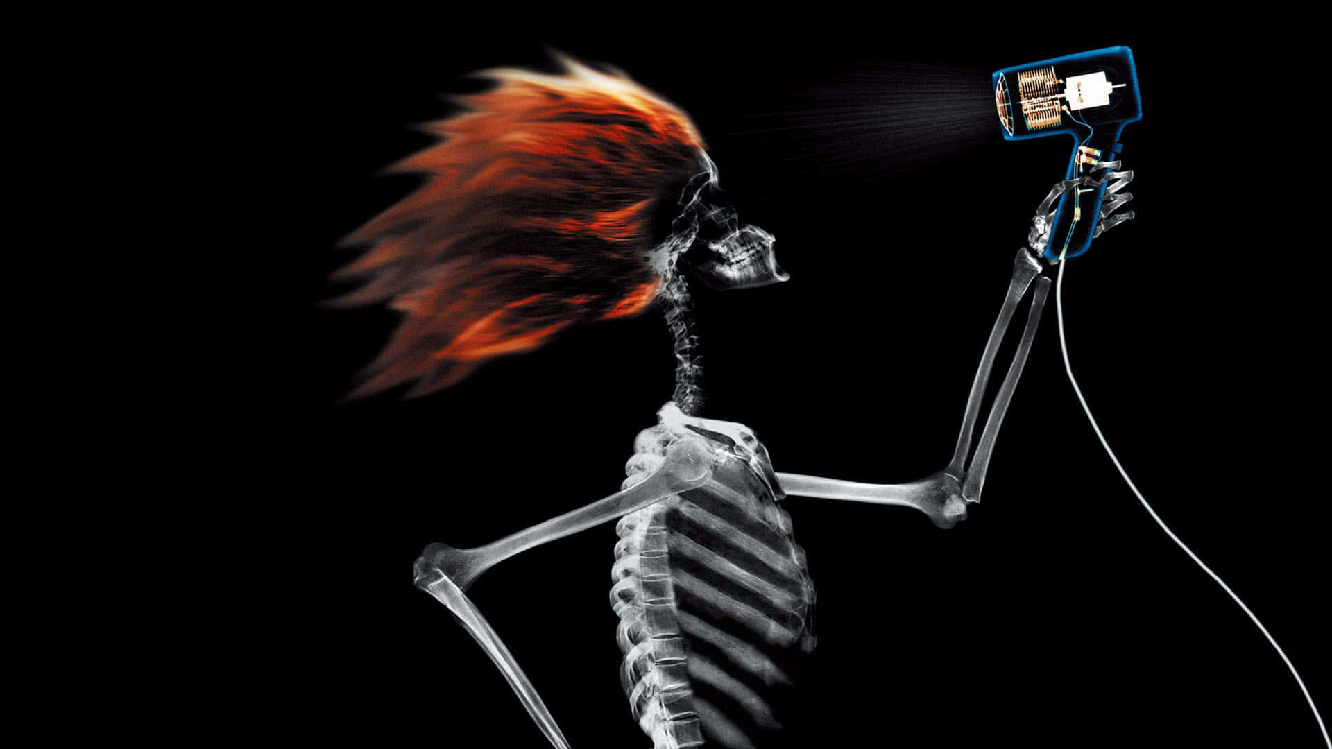 Weird Skeleton Blow Drying Hair Picture
