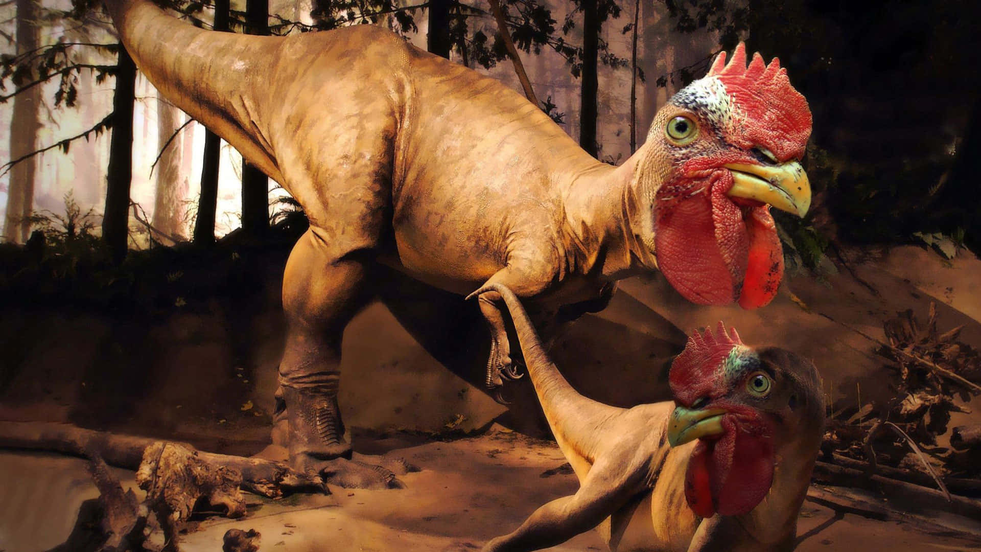 Mærkeligbillede Af En Kylling Og Dinosaur-hybrid
