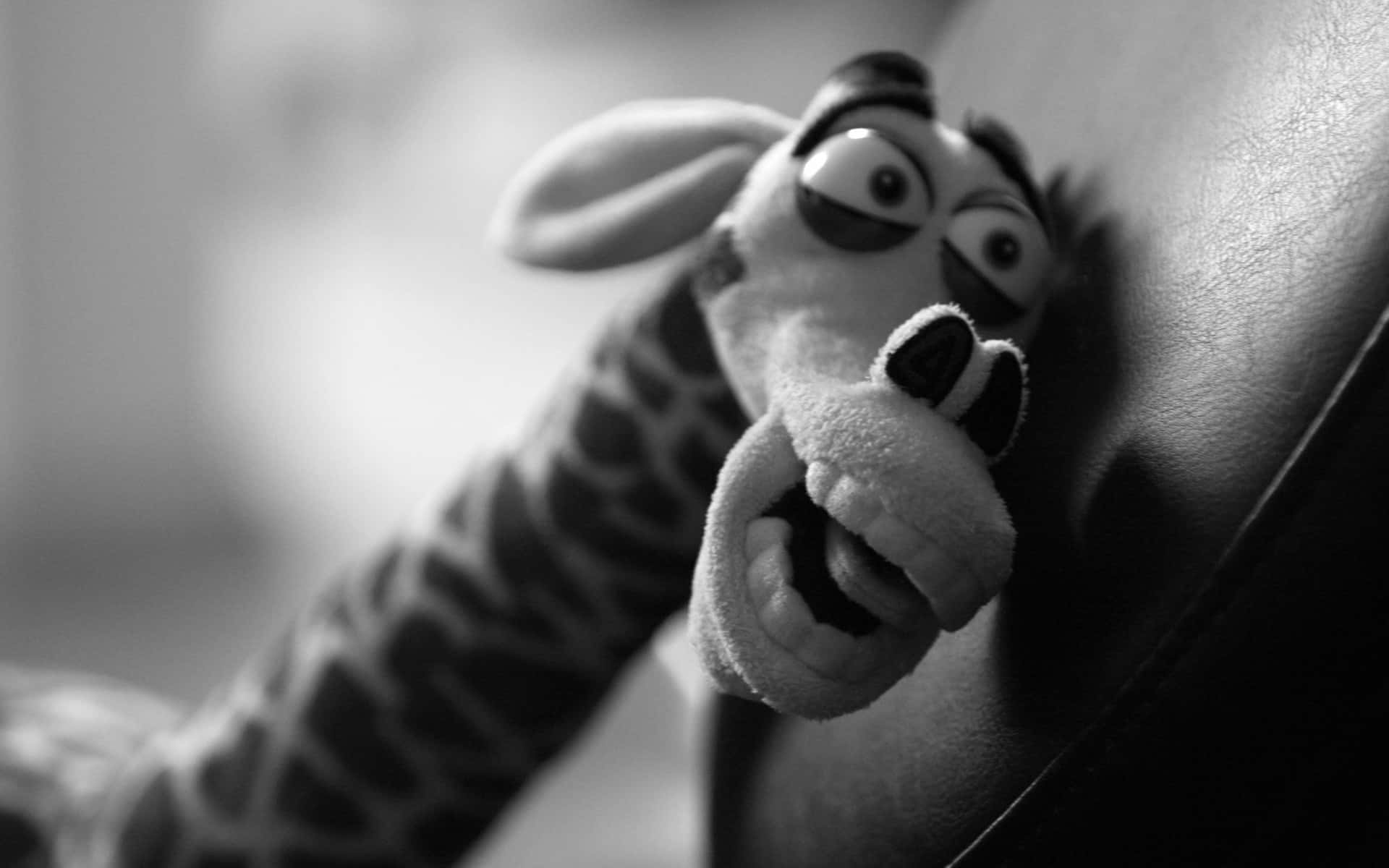 Weird Stuffed Giraffe In Black And White Picture