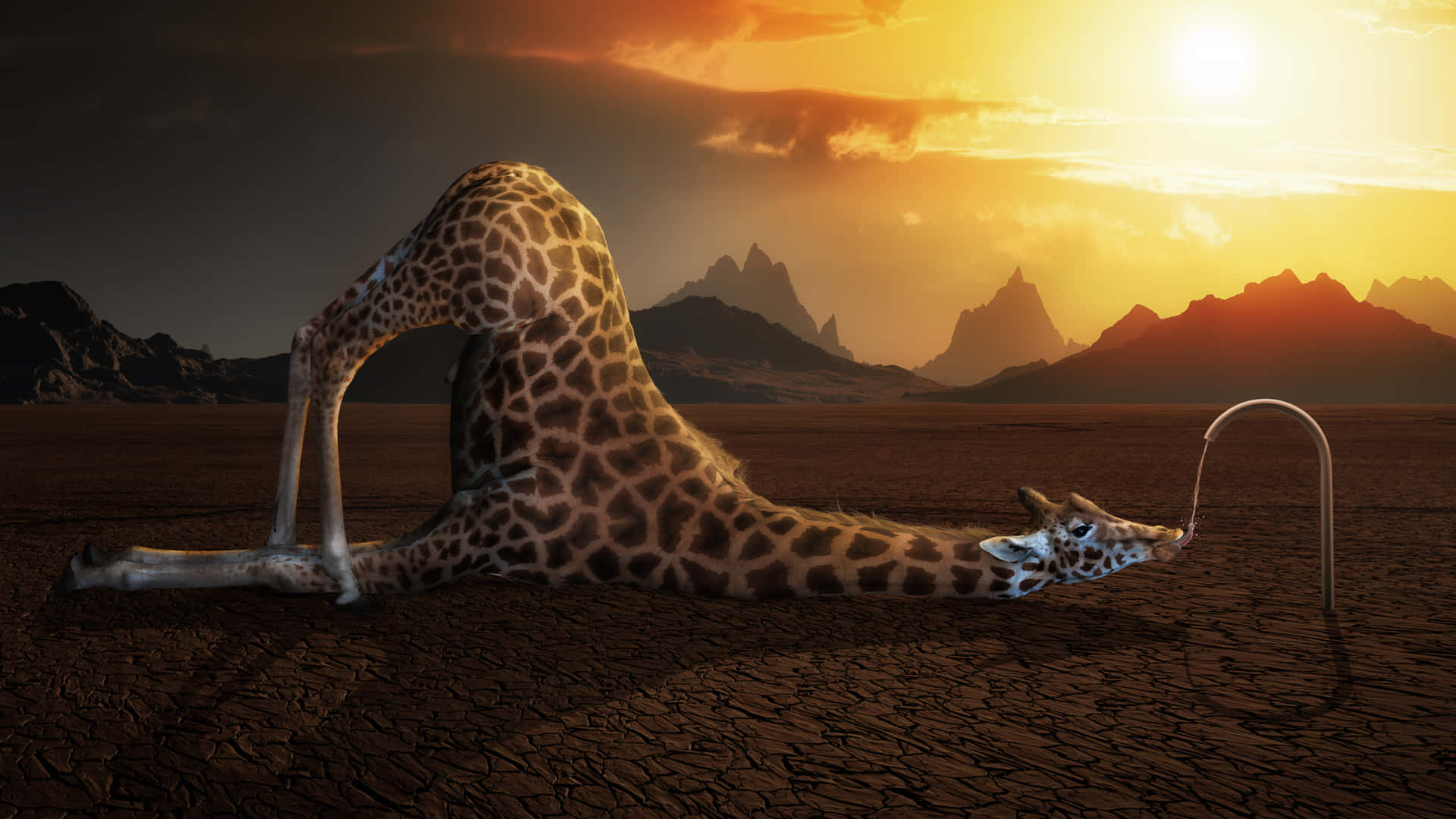 Imagemde Uma Girafa Estranha Bebendo Água De Uma Torneira No Deserto.