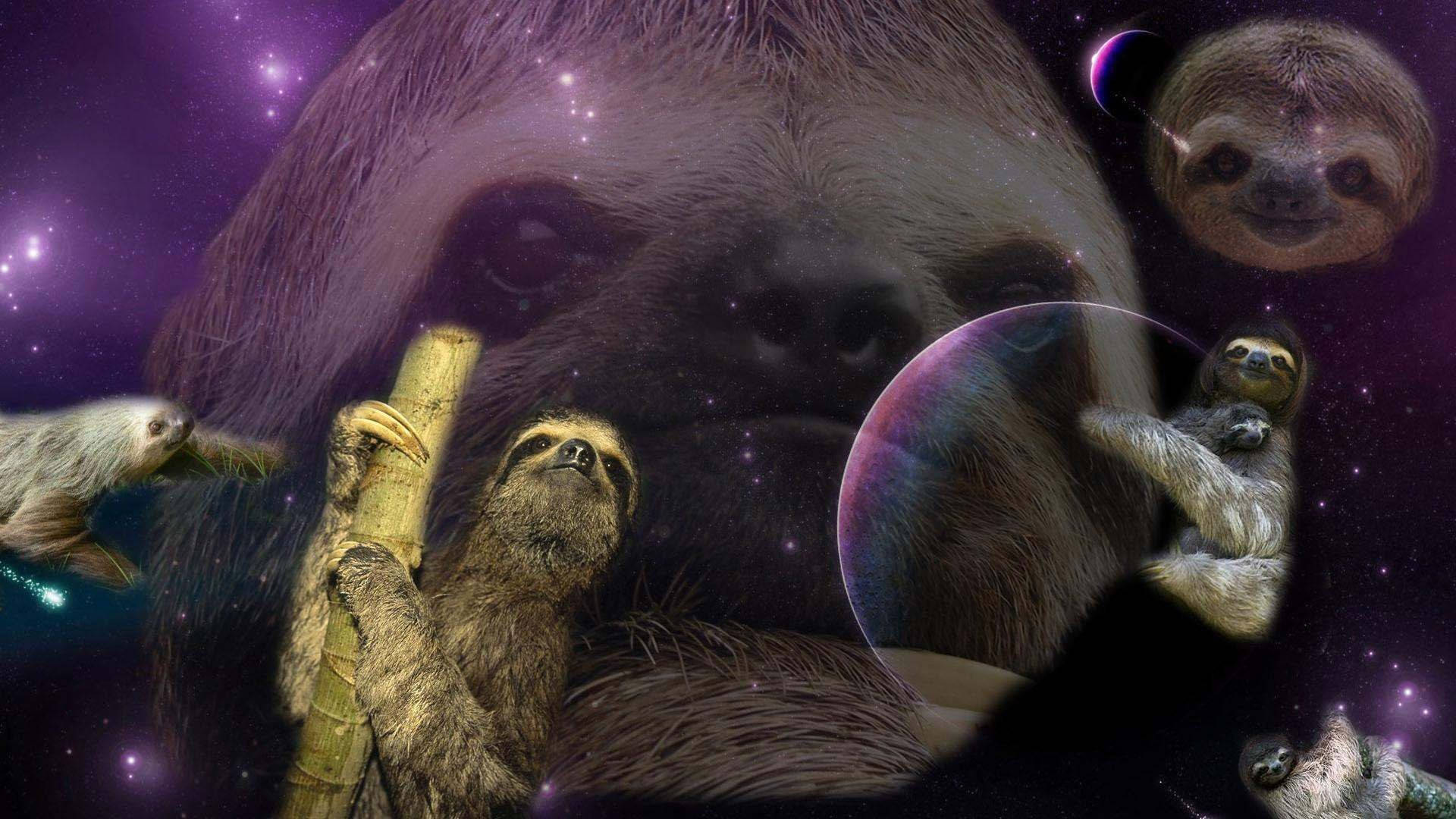 Weird Sloth In The Universe Wallpaper