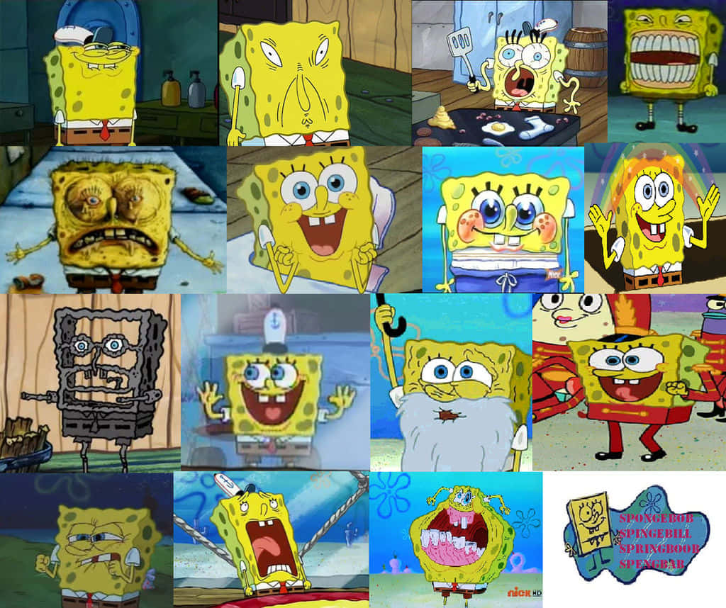 Underlige Spongebob ansigter Scener Billede Tapeter