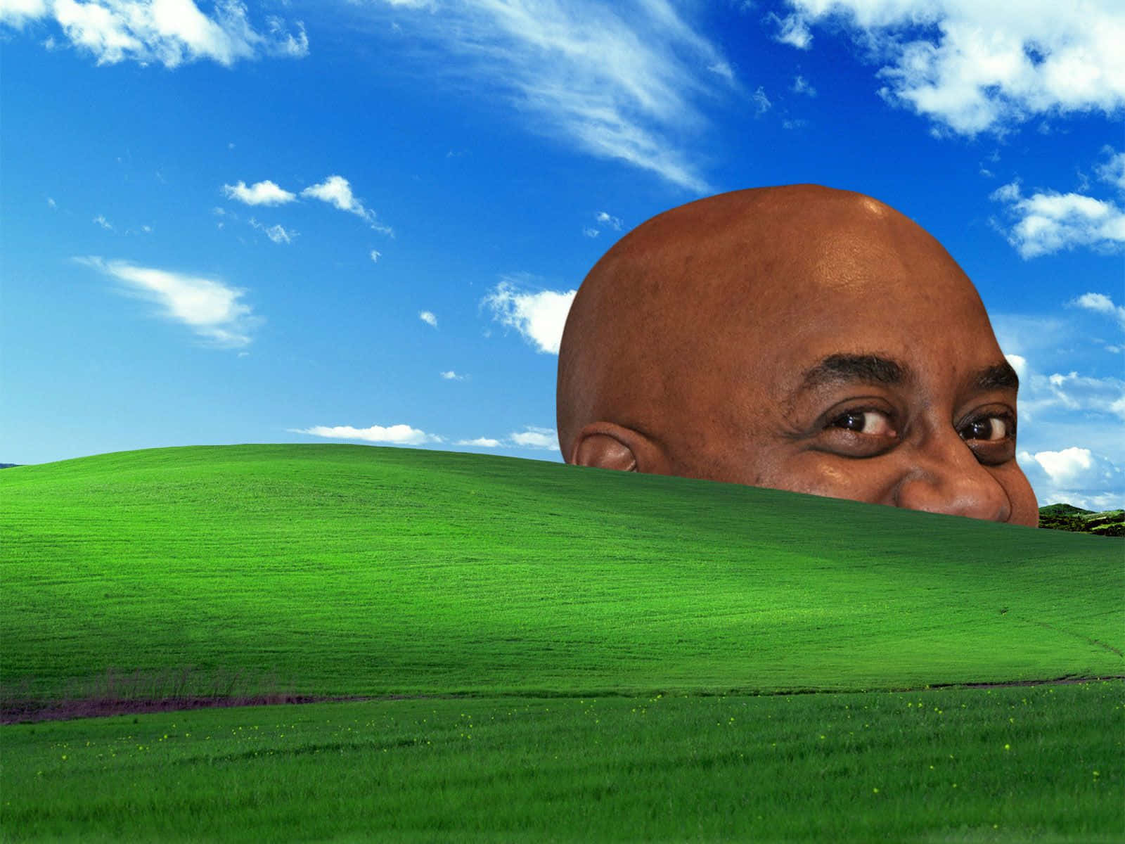 A Man Is Peeking Out Of A Green Field