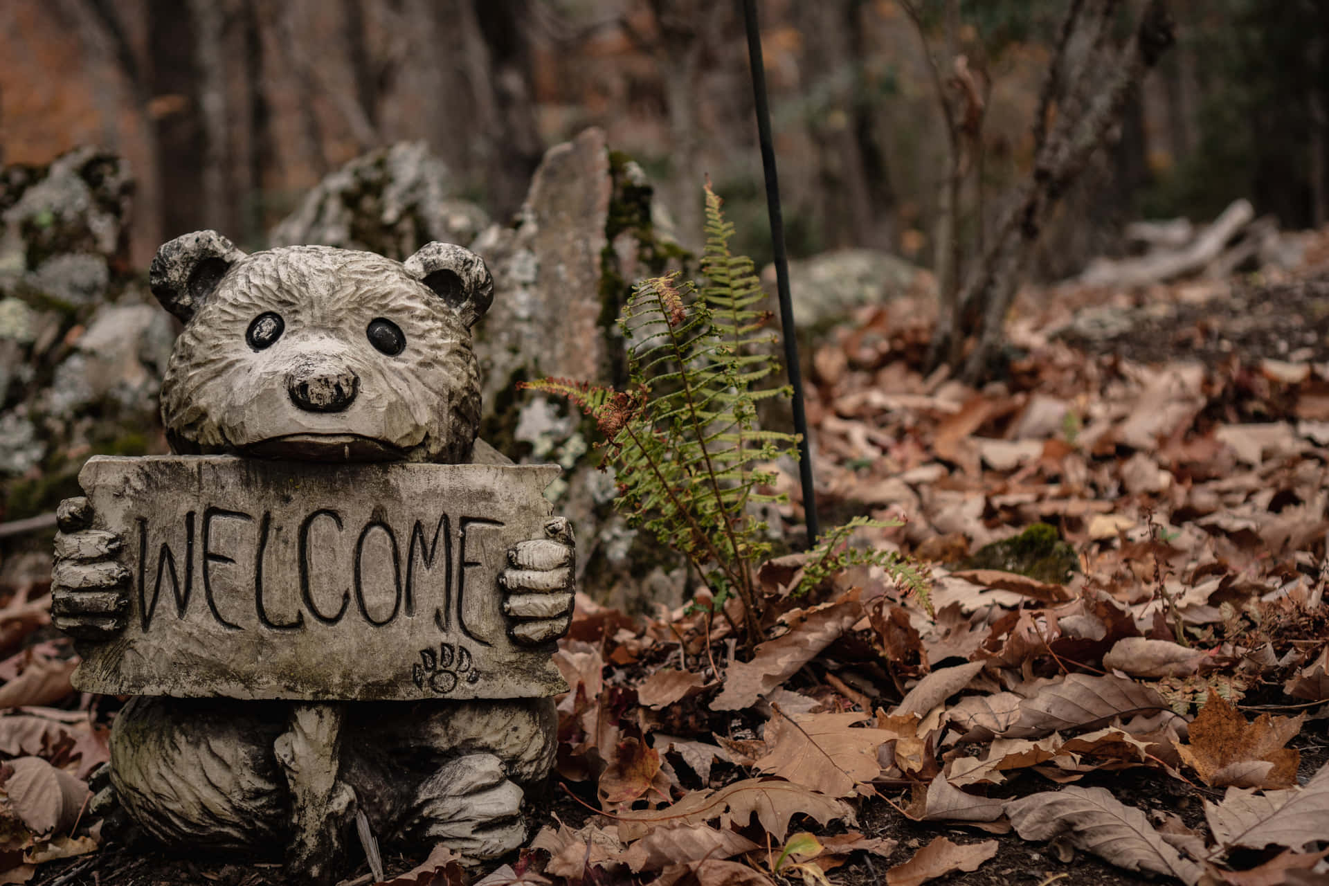 A Teddy Bear Holding A Welcome Sign