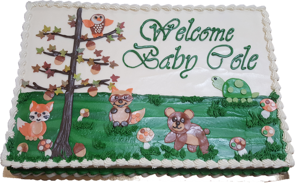 Welcome Baby Cole Decorated Cake PNG