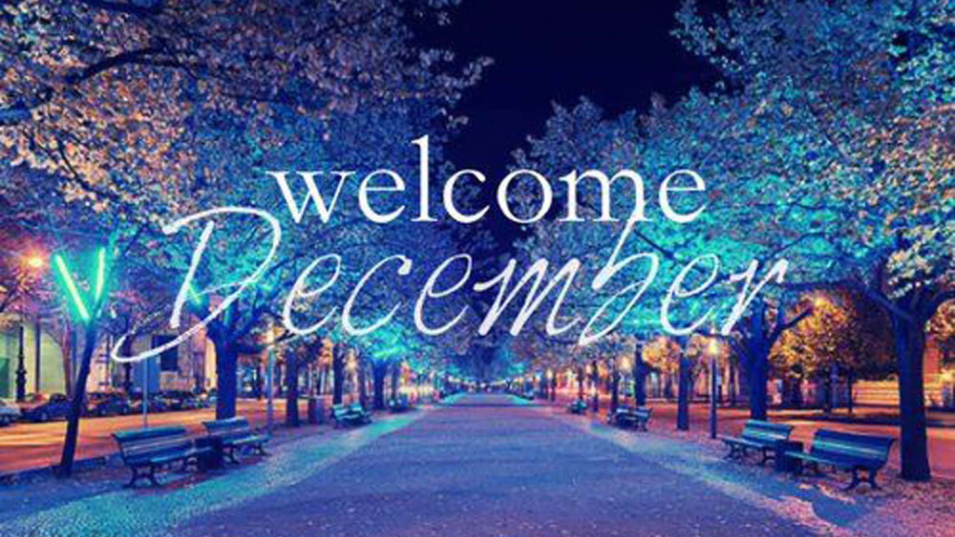 Welcome December Festive Christmas Tree Lights Wallpaper